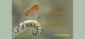 The Pain of Change
