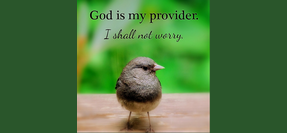 Who Is Your Source?