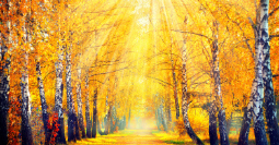The Journey Of Life